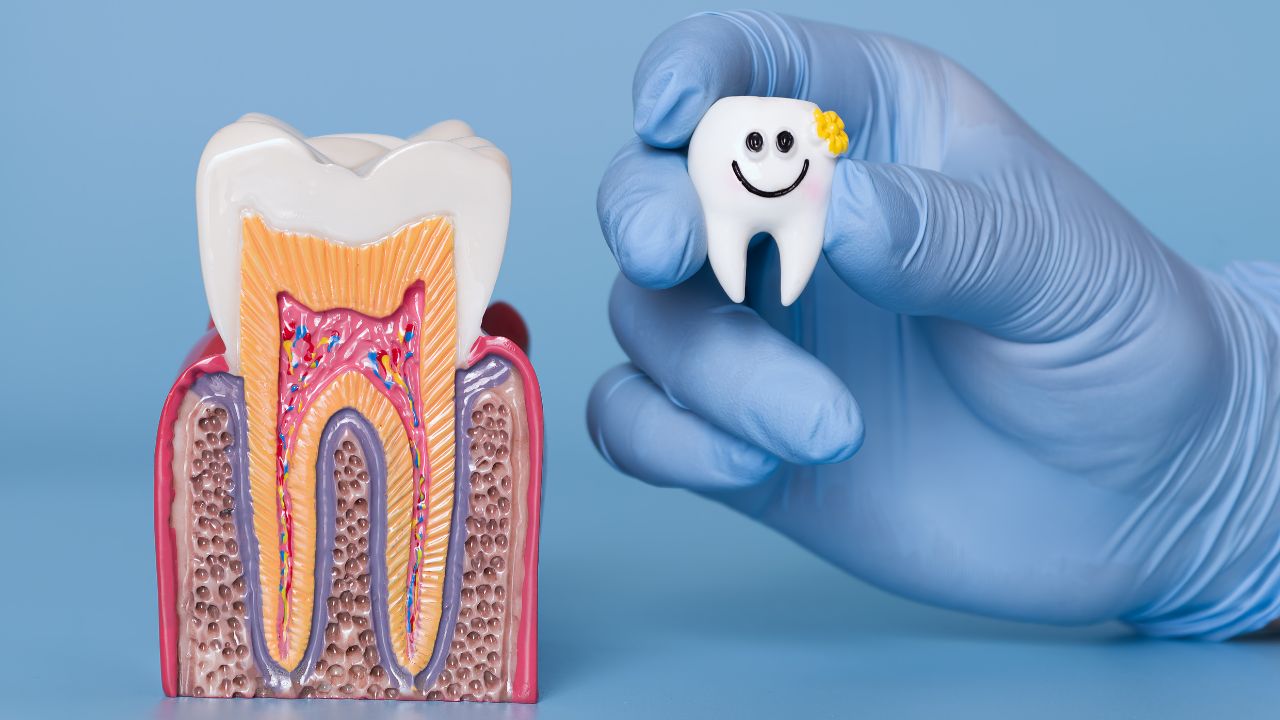 Tooth Filling vs. Root Canal Treatment